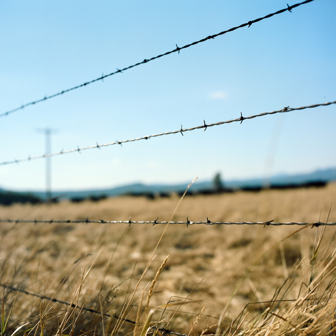 Farm and Ranch